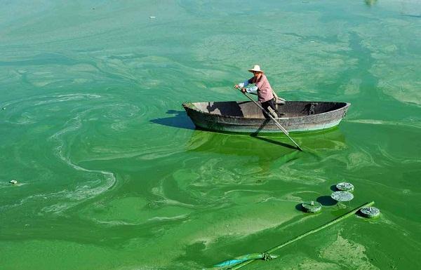 a36871804970c24ca5bdd082472def23_1756263460139631.jpg